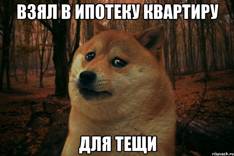 взял в ипотеку квартиру для тещи, Мем SAD DOGE