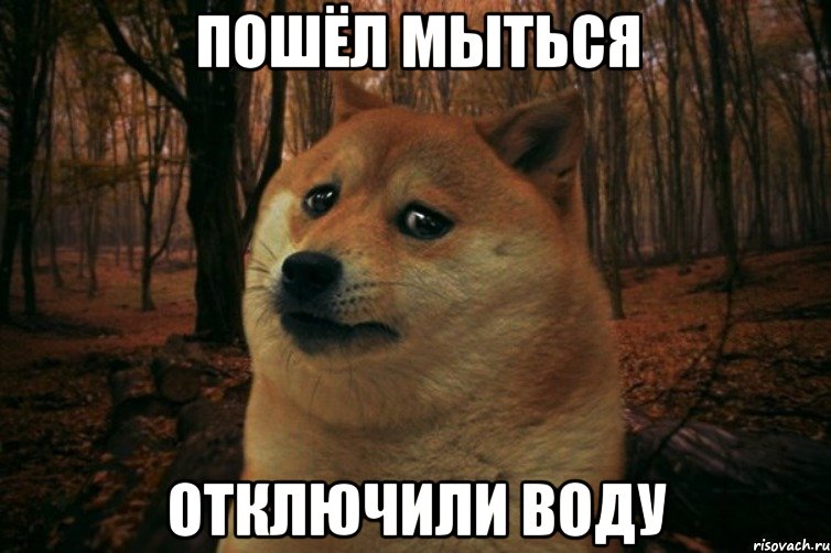 пошёл мыться отключили воду, Мем SAD DOGE