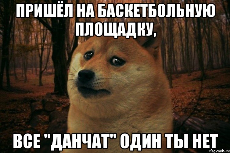 пришёл на баскетбольную площадку, все "данчат" один ты нет, Мем SAD DOGE