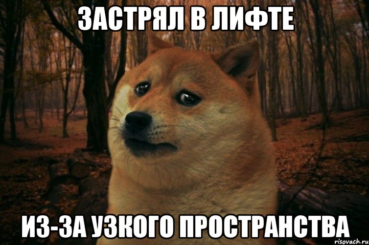 ЗАСТРЯЛ В ЛИФТЕ ИЗ-ЗА УЗКОГО ПРОСТРАНСТВА, Мем SAD DOGE