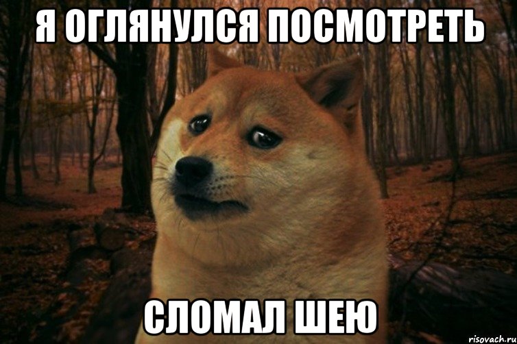 Я ОГЛЯНУЛСЯ ПОСМОТРЕТЬ СЛОМАЛ ШЕЮ, Мем SAD DOGE