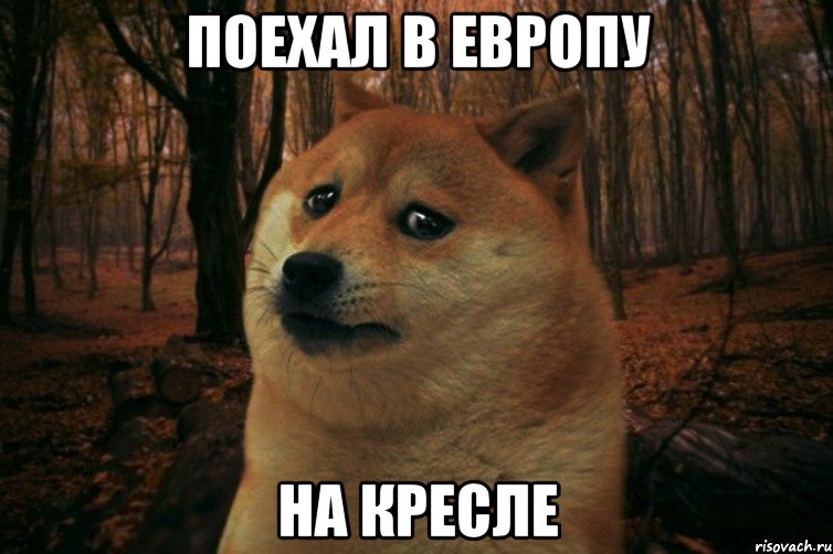 Поехал в европу на кресле, Мем SAD DOGE