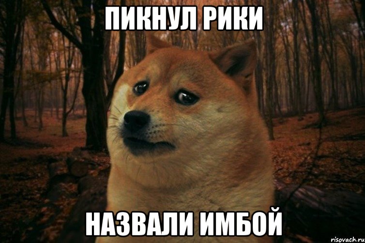 Пикнул рики Назвали имбой, Мем SAD DOGE