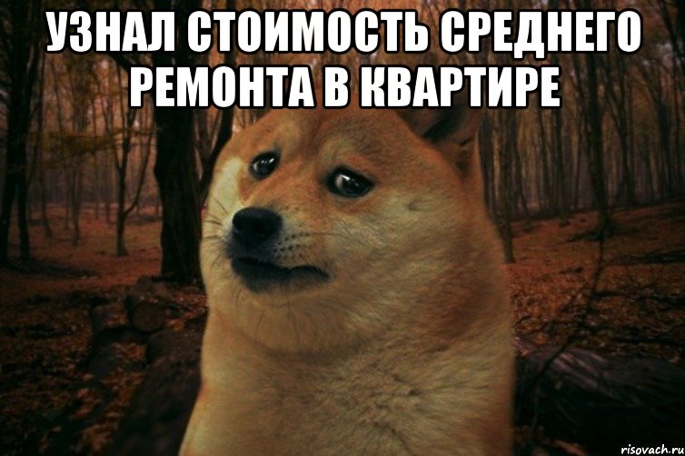 Узнал стоимость среднего ремонта в квартире , Мем SAD DOGE