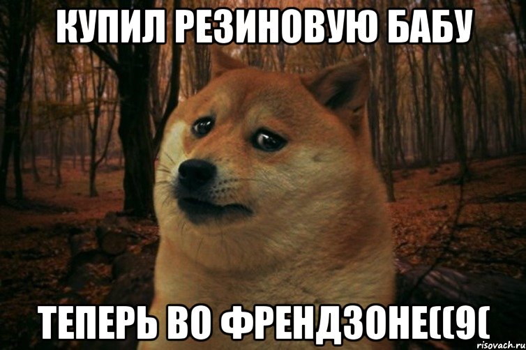 Купил резиновую бабу Теперь во френдзоне((9(, Мем SAD DOGE