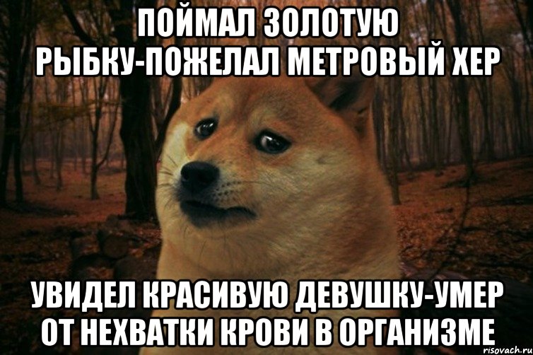 Поймал золотую рыбку-пожелал метровый хер Увидел красивую девушку-умер от нехватки крови в организме, Мем SAD DOGE