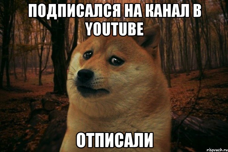 Подписался на канал в YouTube отписали, Мем SAD DOGE