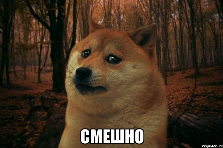  СМЕШНО, Мем SAD DOGE