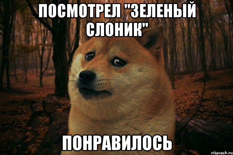 посмотрел "зеленый слоник" понравилось, Мем SAD DOGE