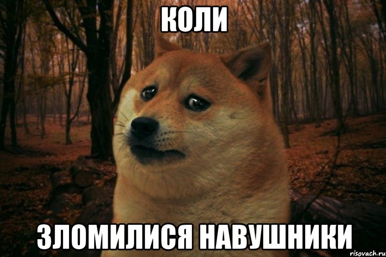 коли зломилися навушники, Мем SAD DOGE