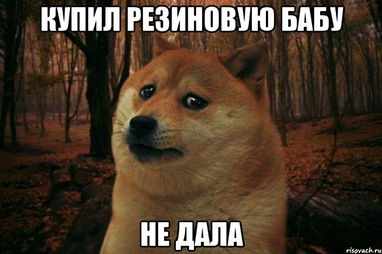 купил резиновую бабу не дала, Мем SAD DOGE