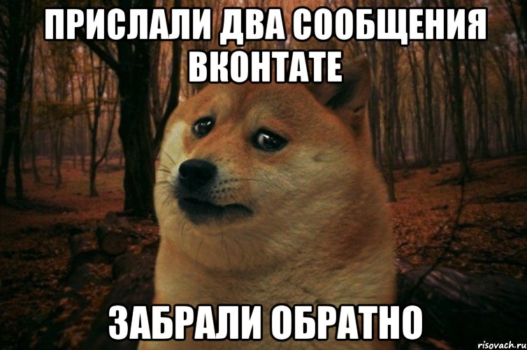 прислали два сообщения вконтате забрали обратно, Мем SAD DOGE