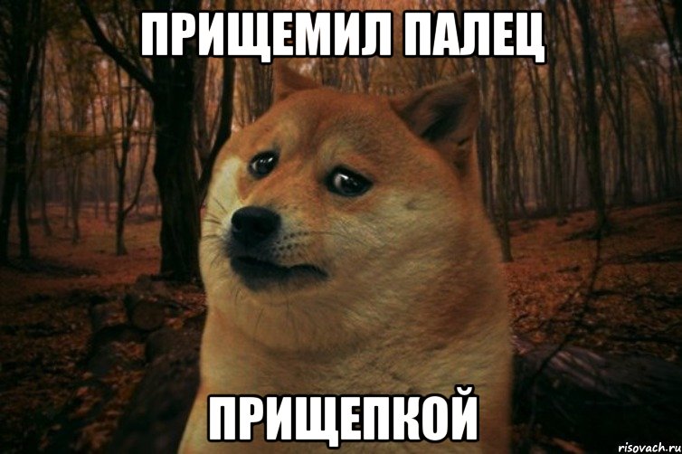 Прищемил палец Прищепкой, Мем SAD DOGE