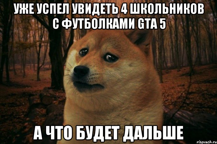 Уже успел увидеть 4 школьников с футболками gta 5 А что будет дальше, Мем SAD DOGE