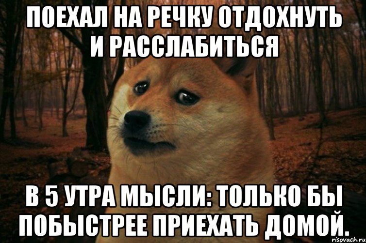 Поехал на речку отдохнуть и расслабиться В 5 утра мысли: только бы побыстрее приехать домой., Мем SAD DOGE