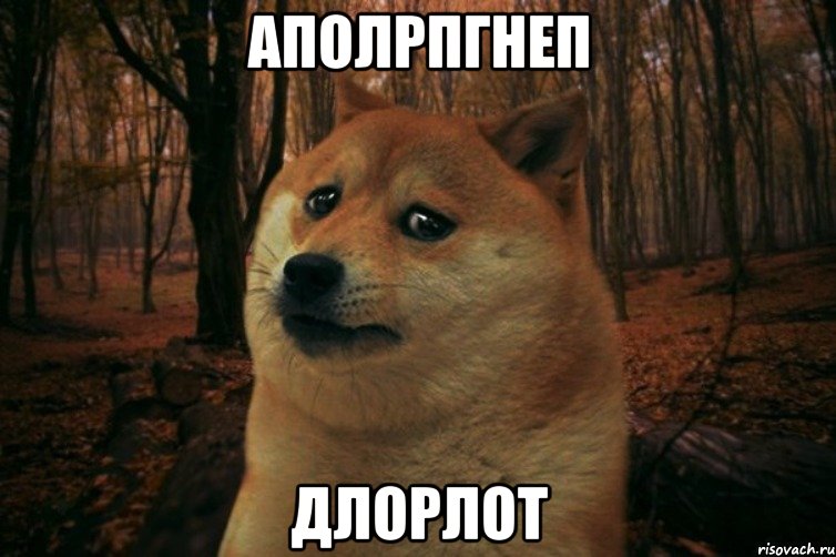 аполрпгнеп длорлот, Мем SAD DOGE