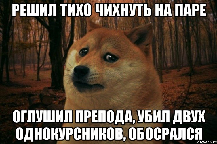 решил тихо чихнуть на паре оглушил препода, убил двух однокурсников, обосрался, Мем SAD DOGE