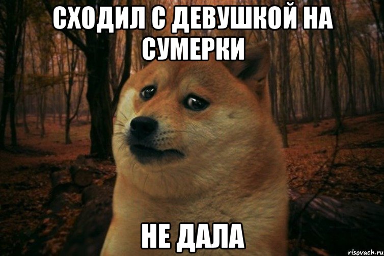 сходил с девушкой на сумерки не дала, Мем SAD DOGE