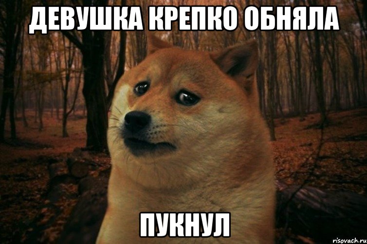 девушка крепко обняла пукнул, Мем SAD DOGE