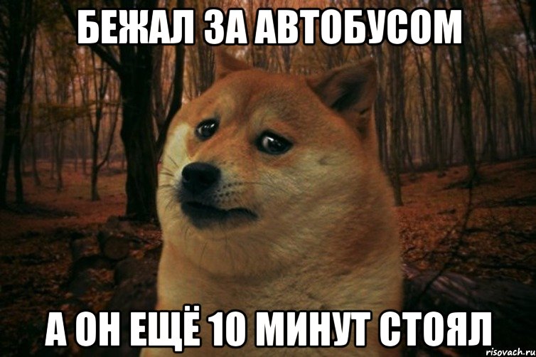 бежал за автобусом а он ещё 10 минут стоял, Мем SAD DOGE