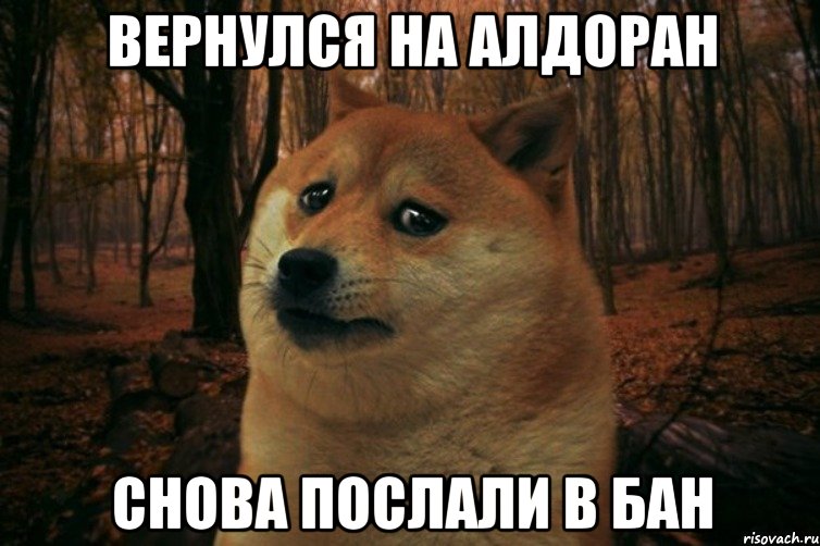 Вернулся на Алдоран снова послали в бан, Мем SAD DOGE