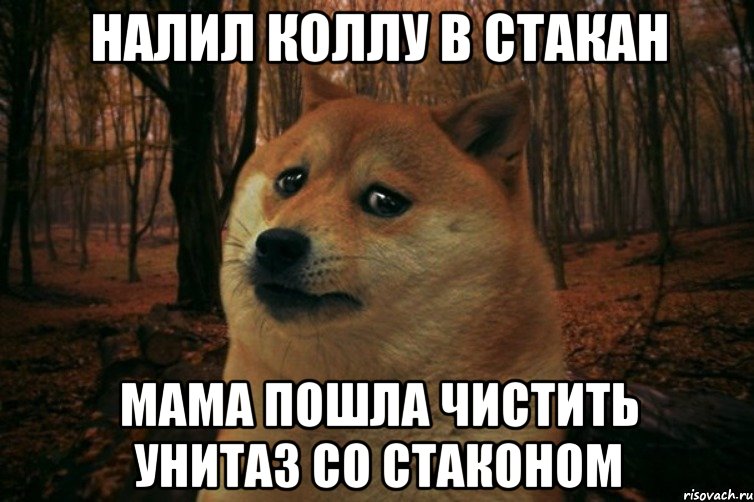 Налил коллу в стакан мама пошла чистить унитаз со стаконом, Мем SAD DOGE