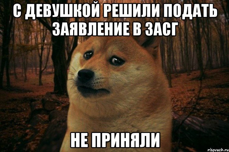 с девушкой решили подать заявление в ЗАСГ не приняли, Мем SAD DOGE