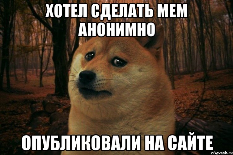 хотел сделать мем анонимно опубликовали на сайте, Мем SAD DOGE