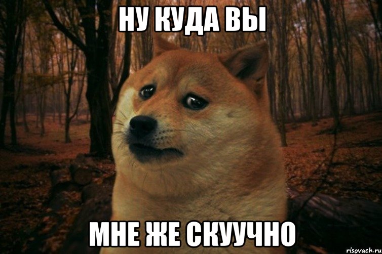 Ну куда вы Мне же скуучно, Мем SAD DOGE