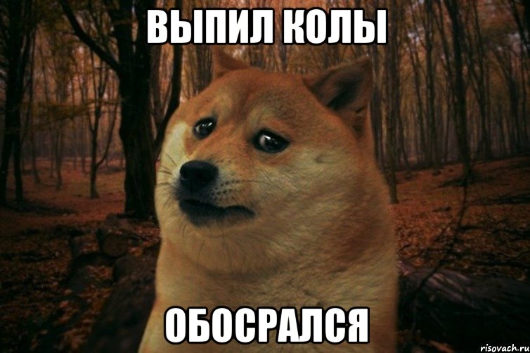 Выпил колы Обосрался, Мем SAD DOGE