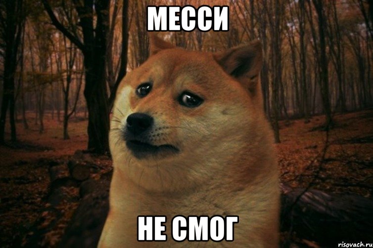 месси не смог, Мем SAD DOGE