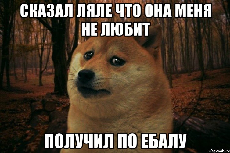 сказал ляле что она меня не любит получил по ебалу, Мем SAD DOGE