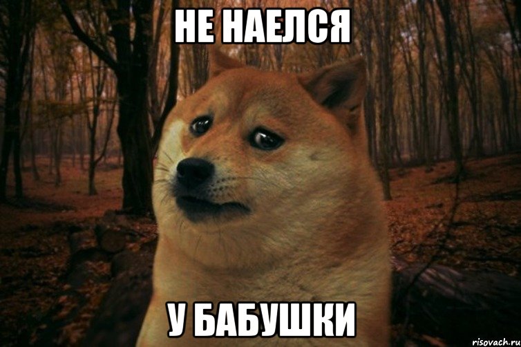 Не наелся у бабушки, Мем SAD DOGE