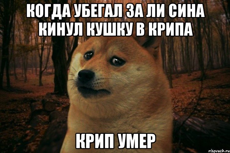 Когда убегал за ли сина кинул кушку в крипа крип умер, Мем SAD DOGE