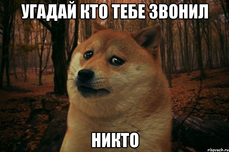 угадай кто тебе звонил никто, Мем SAD DOGE