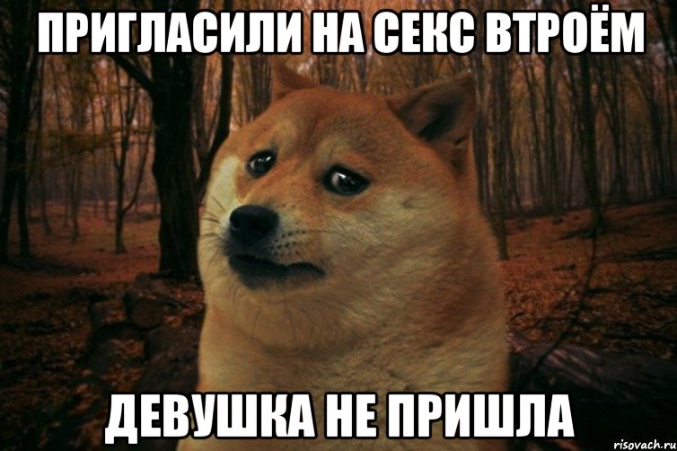 пригласили на секс втроём девушка не пришла, Мем SAD DOGE