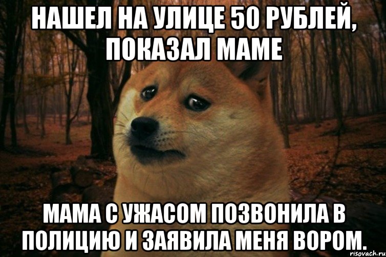Нашел на улице 50 рублей, показал маме мама с ужасом позвонила в полицию и заявила меня вором., Мем SAD DOGE