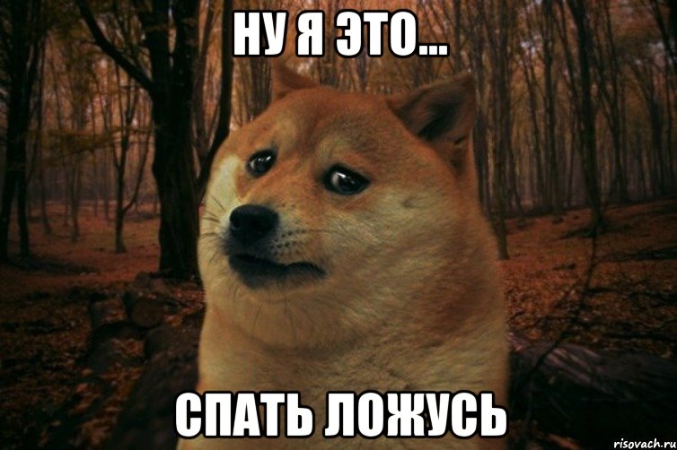 Ну я это... Спать ложусь, Мем SAD DOGE