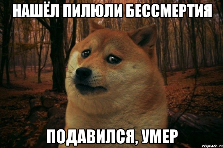 нашёл пилюли бессмертия подавился, умер, Мем SAD DOGE