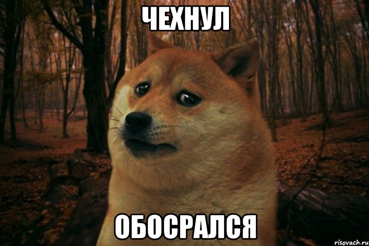 Чехнул обосрался, Мем SAD DOGE