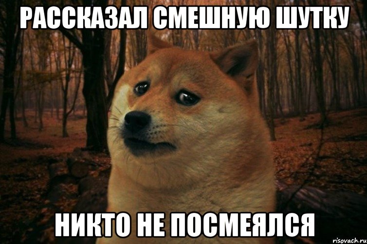 Рассказал смешную шутку никто не посмеялся, Мем SAD DOGE