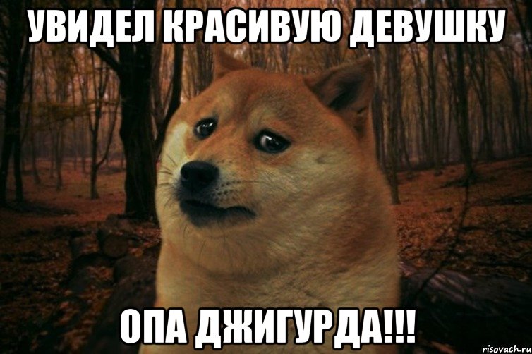 Увидел красивую девушку ОПА ДЖИГУРДА!!!, Мем SAD DOGE