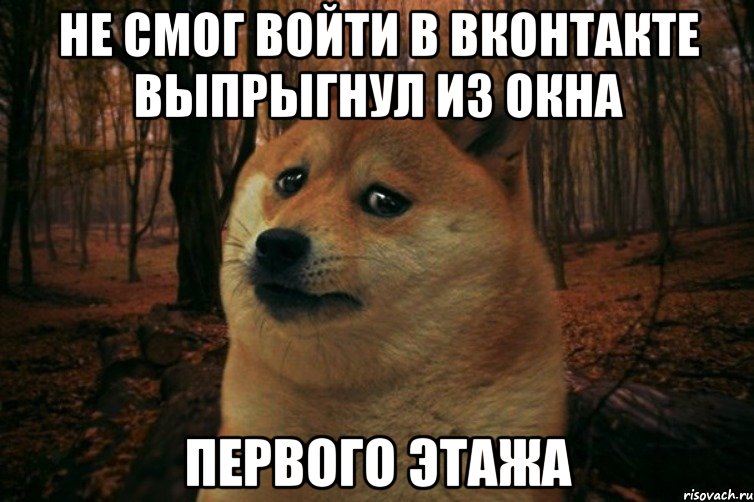 Не смог войти в вконтакте выпрыгнул из окна первого этажа, Мем SAD DOGE