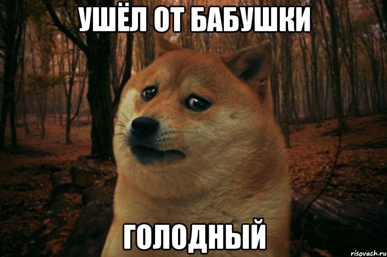 ушёл от бабушки голодный, Мем SAD DOGE