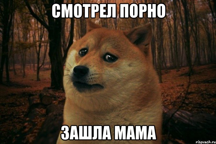 Смотрел порно зашла мама, Мем SAD DOGE