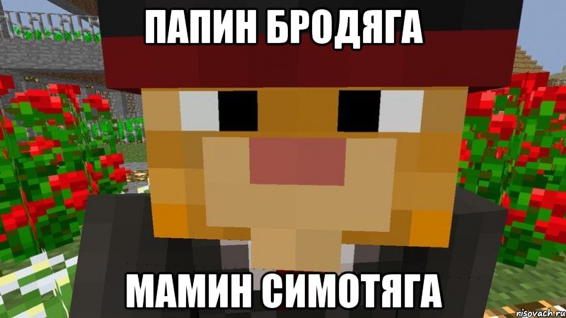 Папин бродяга Мамин симотяга