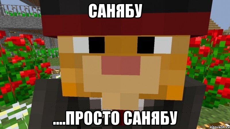 Санябу ....просто санябу