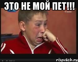 Это не мой ПЕТ!!! , Мем  Сашок Фокин