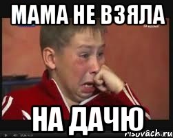 Мама не взяла на дачю, Мем  Сашок Фокин