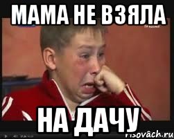 Мама не взяла на дачу, Мем  Сашок Фокин